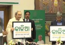 ୨ଲକ୍ଷ ୬୬ହଜାର କାଳିଆ ଅଯୋଗ୍ୟ : ଫେରାଇବେ ଟଙ୍କା