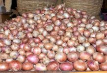 ଓଡ଼ିଶାରେ ପିଆଜ ରାଜନୀତି : ମୁହାଁମୁହିଁ ବିଜେପି -ବିଜେଡି