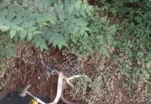 ନିଦରେ ଶୋଇଛି ବିଏମସି : ନାଳରେ ମୋ ସାଇକେଲ