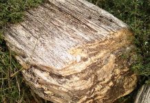 ବିକାଶ ପାଇଁ ଖଣି ସଂରକ୍ଷଣ….