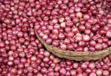 ନୁଆଁ ବର୍ଷ ଭୋଜିରେ ପିଆଜ ବାଧକ..