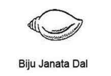 ବିଜେଡ଼ର ଛାମୁଆ ସଂଗଠନରେ ନିଯୁକ୍ତ ହେବେ ମୁଖପାତ୍ର