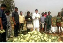ନବୀନଙ୍କ ପାଳରୁ ବାଇଗଣ, କୋବି କିଣିଲେ ଅରୁଣ…
