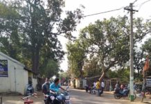 କିଶୋର ନଗରରେ ଆଇନକୁ ଫୁ…..