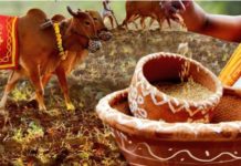ଚାଷୀର ବଡ଼ ପର୍ବ ଅକ୍ଷୟ ତୃତୀୟା : ମହାପ୍ରଭୁଙ୍କ ରଥ କାର୍ଯ୍ୟର ହେବ ଅନୁକୂଳ..