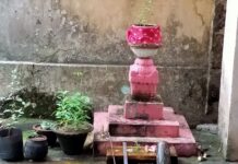 ସରିଲା ରଜ : ସହରରେ ବି ପରମ୍ପରାର ଝଲକ…