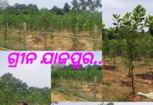 ଯାଜପୁରରେ ସବୁଜ ବିପ୍ଲବ : ନୂଅାରୂପ ନେଉଛି ପଂଚାୟତ