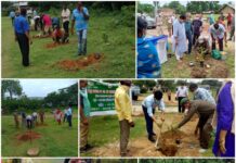 ଦେବଗଡ଼ରେ ଵନମହୋତ୍ସଵ ସପ୍ତାହ…