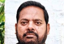 ପିପିଲି ଟାଇଗରଙ୍କ ଜୀବନ ଯାତ୍ରା…….
