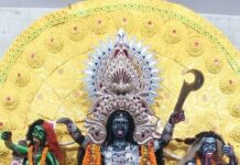 ଯାଜପୁରରେ କାଳୀପୂଜା ଫିକା : ମା ଓ ଭକ୍ତ ଭିତରେ ଭୂତାଣୁ ପାଚେରୀ…