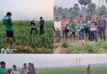 ମୋ ଉପକାରୀ ବଗିଚା’ ଯୋଜନାକୁ ଭାରତ ନୀତି ଆୟୋଗର ପ୍ରଶଂସା : ଯାଜପୁରରେ ଚାଷୀଙ୍କ ସହ ଖୁସି ପ୍ରକାଶ କଲେ ଭବ..