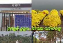 ଚମକୁଛି କୁସୁମା:ଆଜିଠୁ ପର୍ଯ୍ୟଟକ ବୁଲି ନେବେ ମଜା…