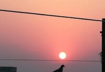 ସେ ଫଗୁଣରେ , ମୁଁ ବସନ୍ତରେ…