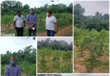 ଯାଜପୁରରେ ଆରମ୍ଭ ହୋଇଛି ସବୁଜ ବିପ୍ଲବ….