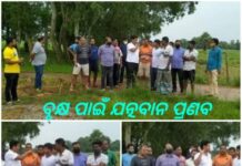 ଗ୍ରୀନ ଯାଜପୁର ମିଶନ : ବଗିଚା ବୁଲିଲେ ବବି, ଗଛର ଯତ୍ନ ନେବା ପାଇଁ କଲେ ଅପିଲ…
