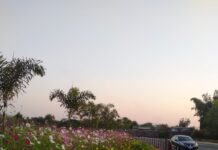ଏମିତି ହୁଅନ୍ତା ନି…..