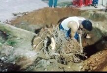 ପାନ ବ୍ୟବସାୟୀଙ୍କ ପ୍ରକୃତି ପ୍ରେମ…