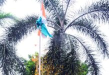 ସୋଆ ପକ୍ଷରୁ ୭୬ତମ ସ୍ୱାଧୀନତା ଦିବସ ପାଳିତ…