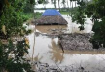 ଆସିଲା ବନ୍ୟା କ୍ଷୟକ୍ଷତି ର ରିପୋର୍ଟ..