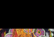 ପାଳିତ ହେଲା ମା ବିରଜା ଙ୍କ ବନଜାଗ ଉତ୍ସବ…