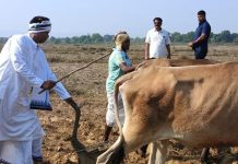 ପବିତ୍ର ଅକ୍ଷୟ ତୃତୀୟାରେ ଅଖିମୁଠି ଅନୁକୂଳ କଲେ ପ୍ରଣବ : କହିଲେ ଚଷା ଲକ୍ଷେ ଜୀବନ ପୋଷା …..