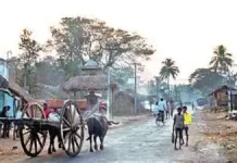 ଚାଲ ଫେରିଯିବା ଆକଟ ରାଇଜକୁ